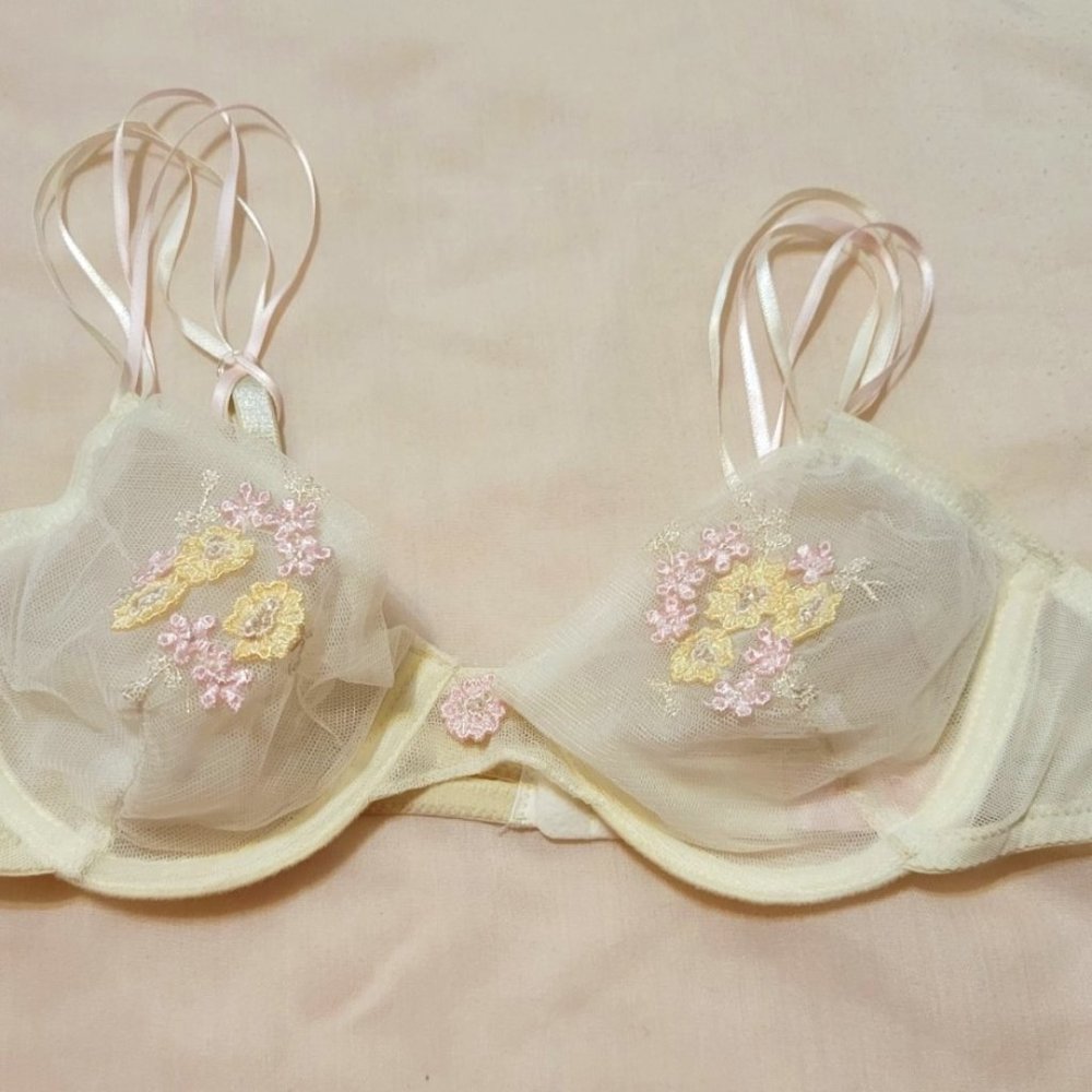 Victoria Secret bra.